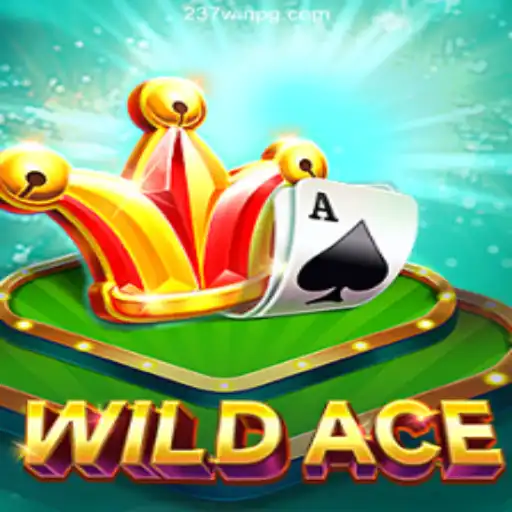 WildAce: Dive Into the Exciting World of Innovative Gaming